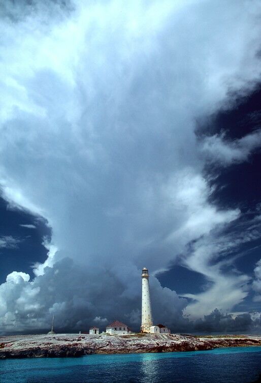 Click to See Next Image